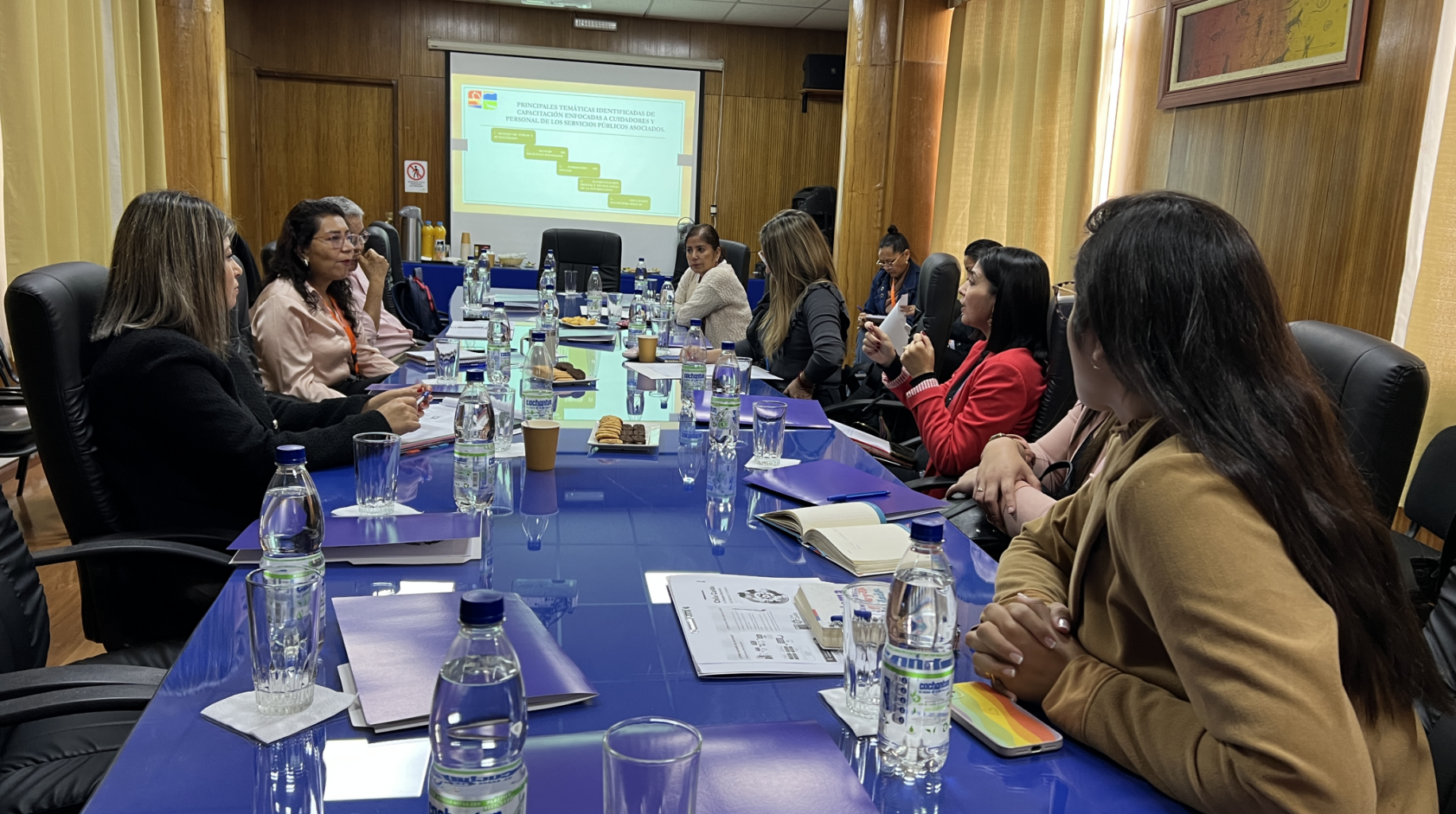 Mesa de cuidados técnica.png